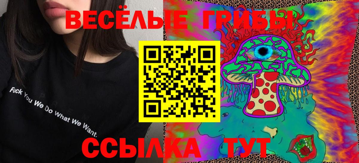 Галлюциногенные грибы Cubensis Чернушка