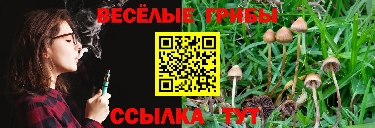 Галлюциногенные грибы Psilocybine cubensis  Вход с VPN  купить наркотики сайты  Чернушка 